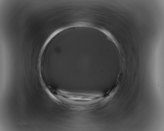 X0000086221438200704191729