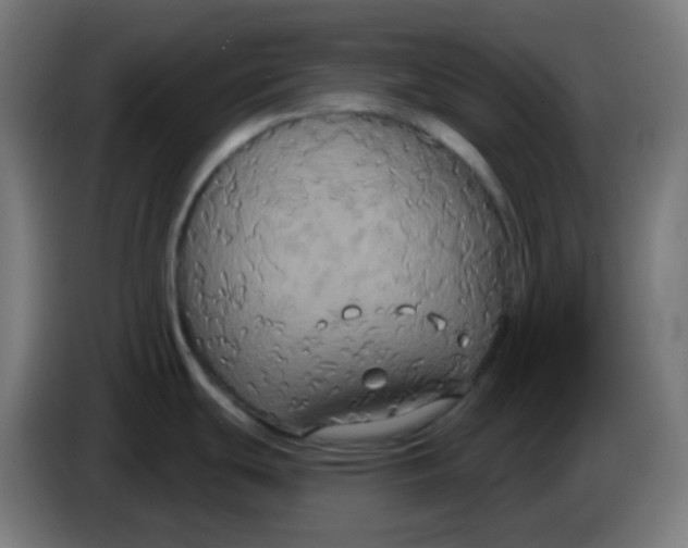 X0000086221439200704191729