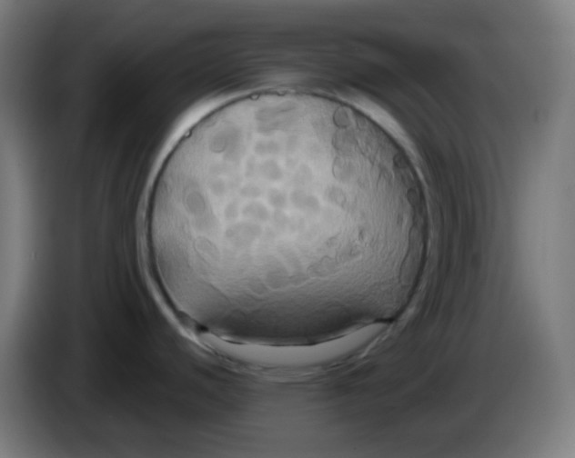 X0000086221440200704191729