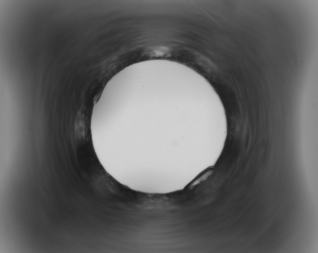 X0000086221442200704191728