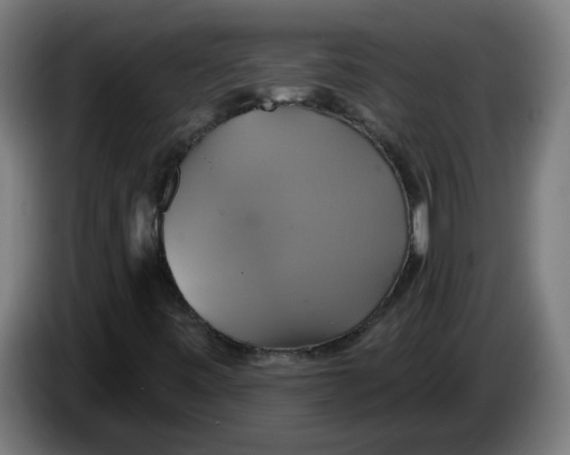 X0000086221443200704191728