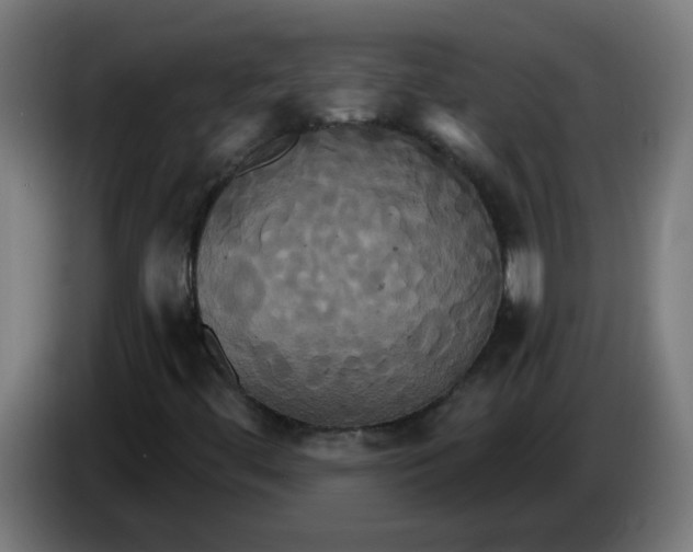 X0000086221444200704191728