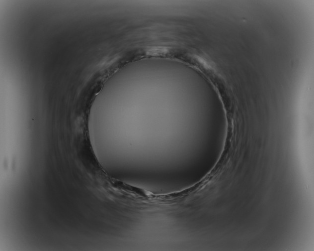 X0000086221445200704191728