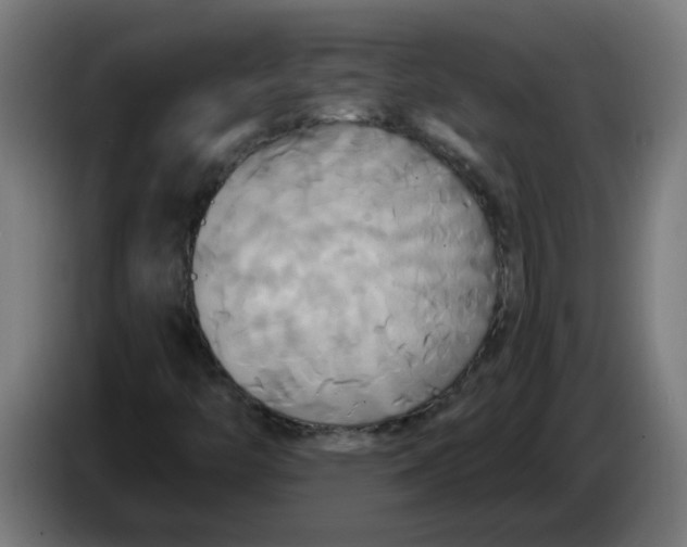 X0000086221446200704191728