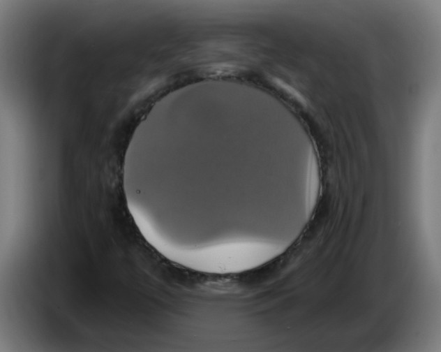 X0000086221447200704191728