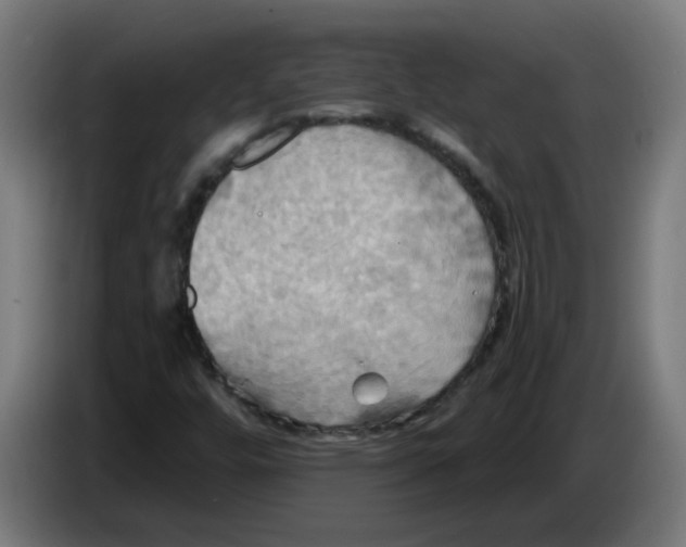 X0000086221448200704191728