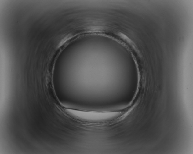 X0000086221449200704191728