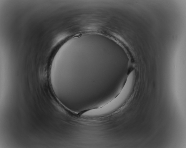 X0000086221450200704191728