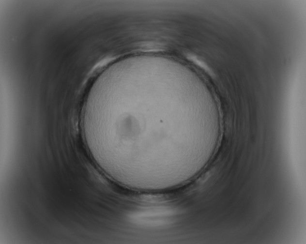 X0000086221451200704191728