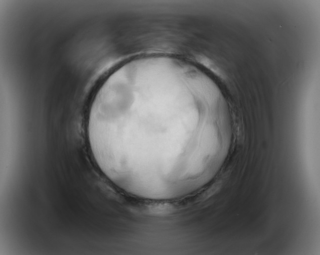 X0000086221454200704191728