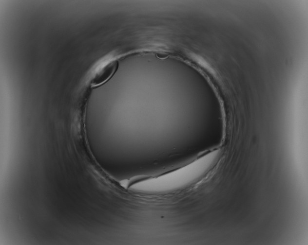 X0000086221455200704191728