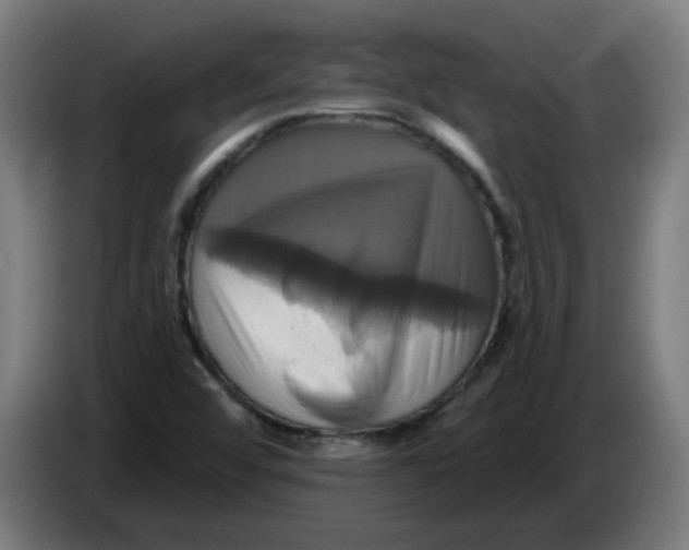 X0000086221456200704191728