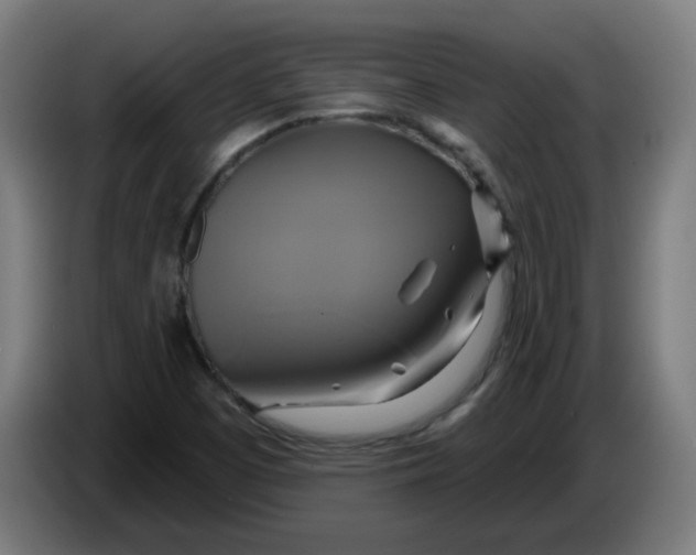 X0000086221457200704191728