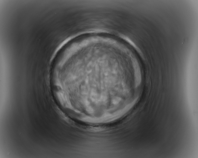 X0000086221460200704191728