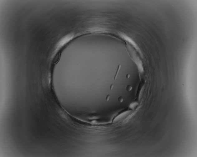 X0000086221461200704191728