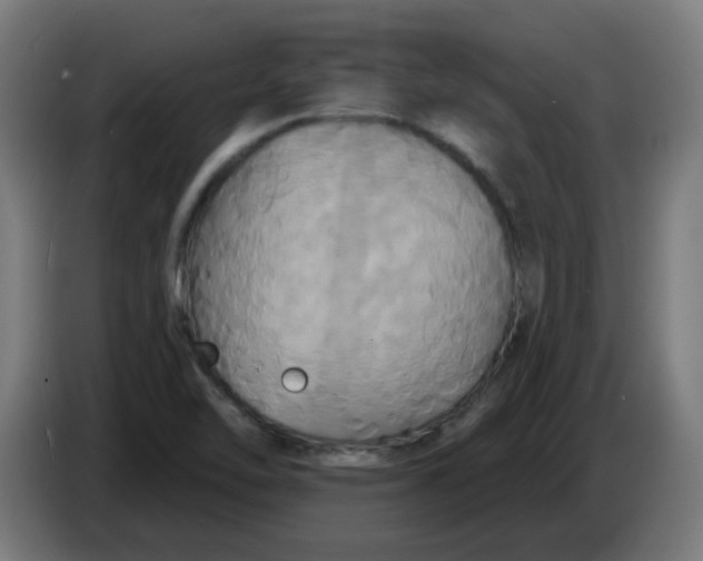 X0000086221462200704191728