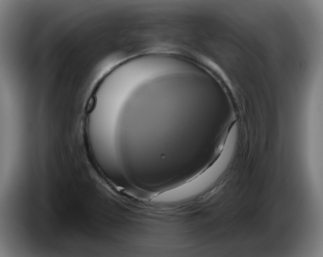 X0000086221463200704191728