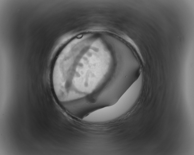 X0000086221464200704191728