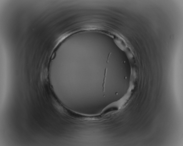 X0000086221465200704191728