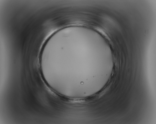 X0000086221466200704191728