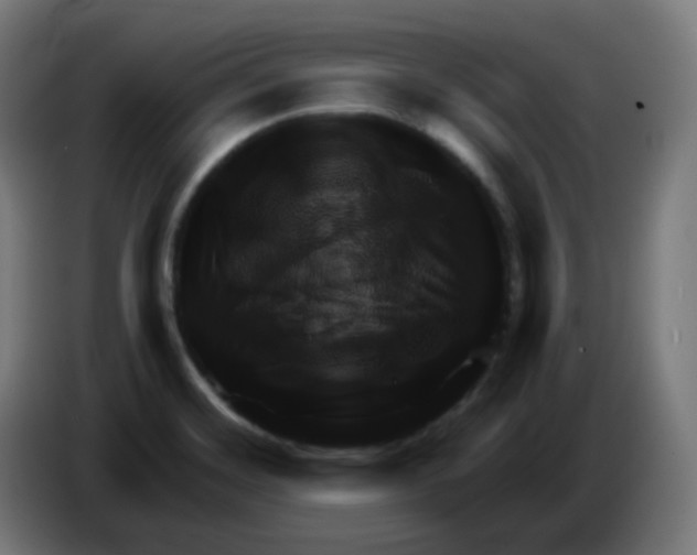 X0000086221468200704191728