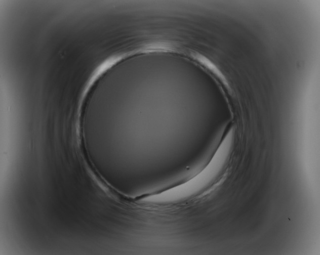 X0000086221469200704191728