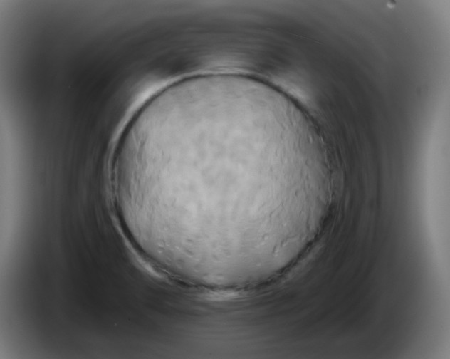 X0000086221470200704191728