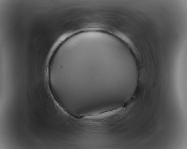 X0000086221472200704191728