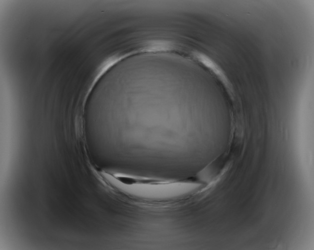 X0000086221473200704191728