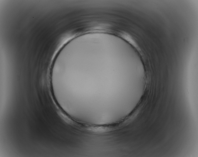 X0000086221474200704191728