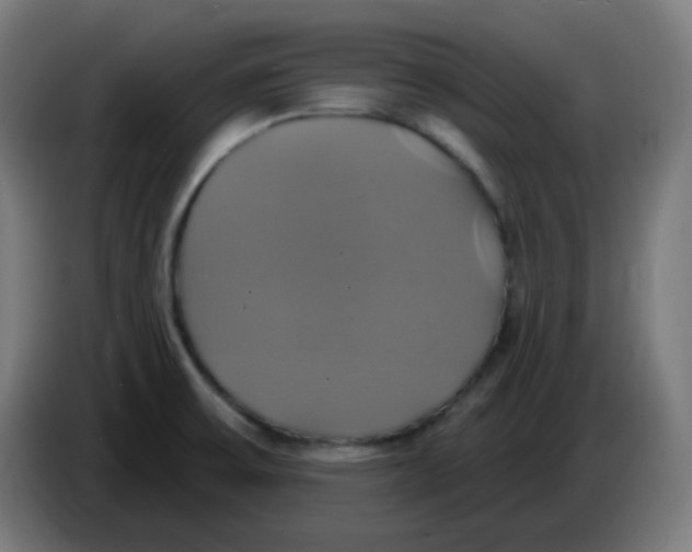 X0000086221475200704191728