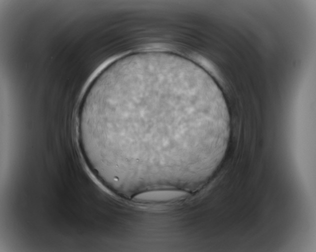 X0000086221476200704191728