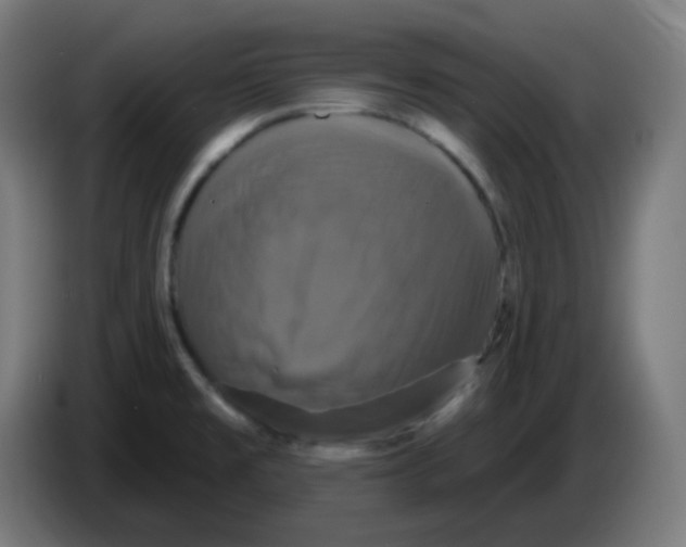 X0000086221477200704191728