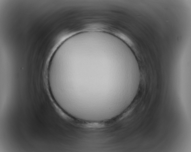 X0000086221478200704191728