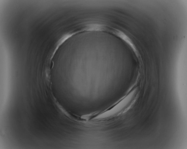 X0000086221481200704191728