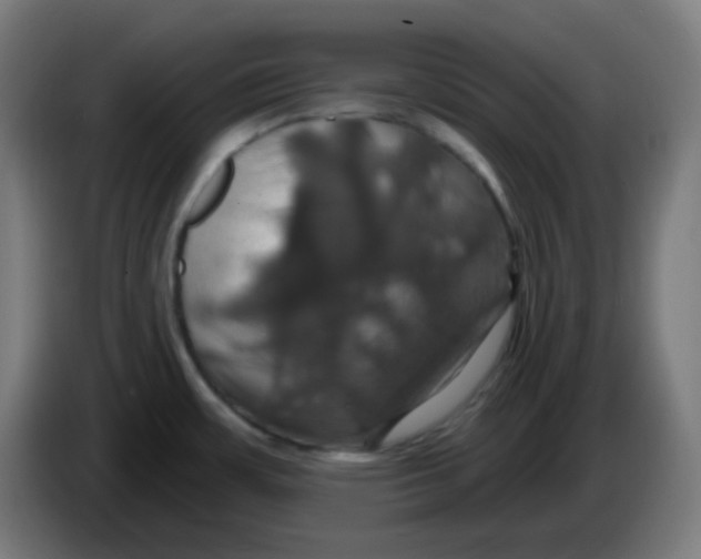 X0000086221483200704191728