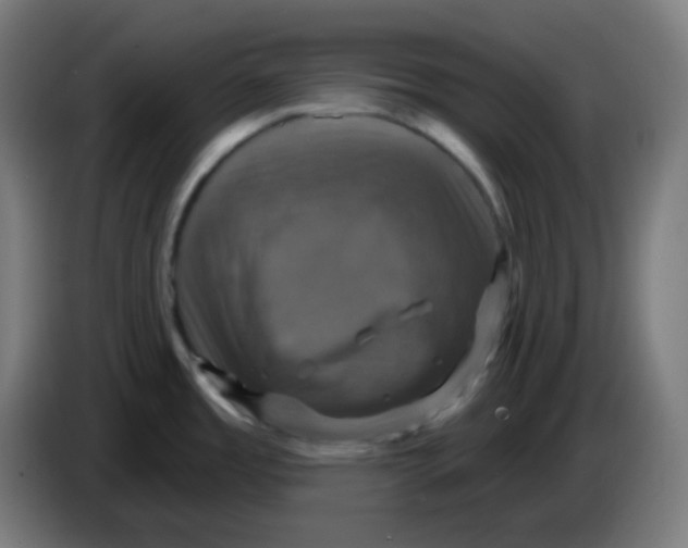 X0000086221485200704191728