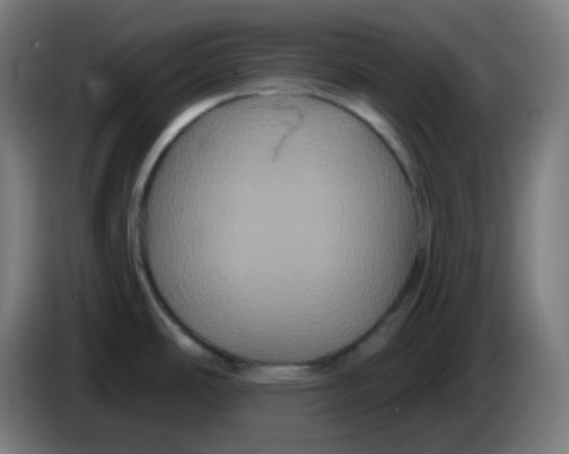 X0000086221486200704191728