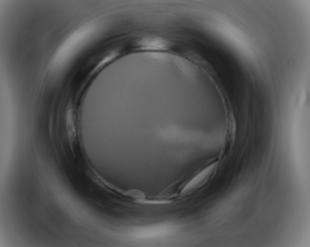 X0000086221487200704191728