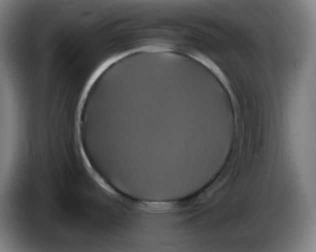 X0000086221488200704191728