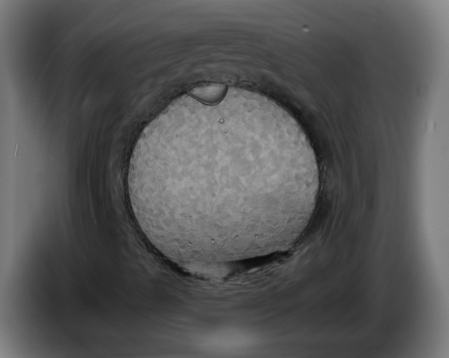 X0000086221489200704191727