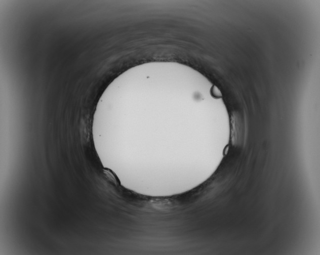 X0000086221491200704191727