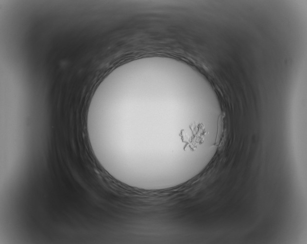 X0000086221492200704191727