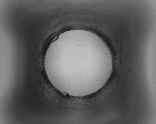 X0000086221493200704191727