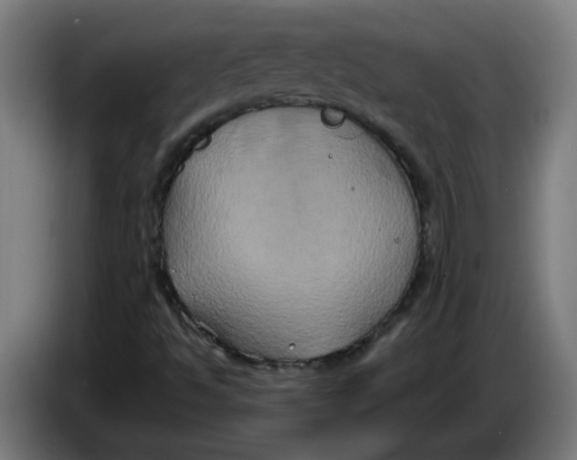 X0000086221494200704191727