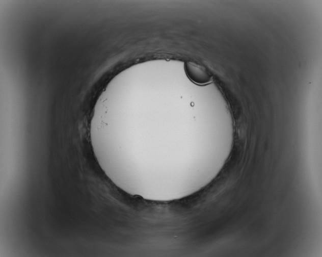 X0000086221495200704191727