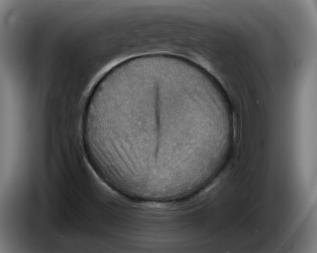 X0000086221500200704191727