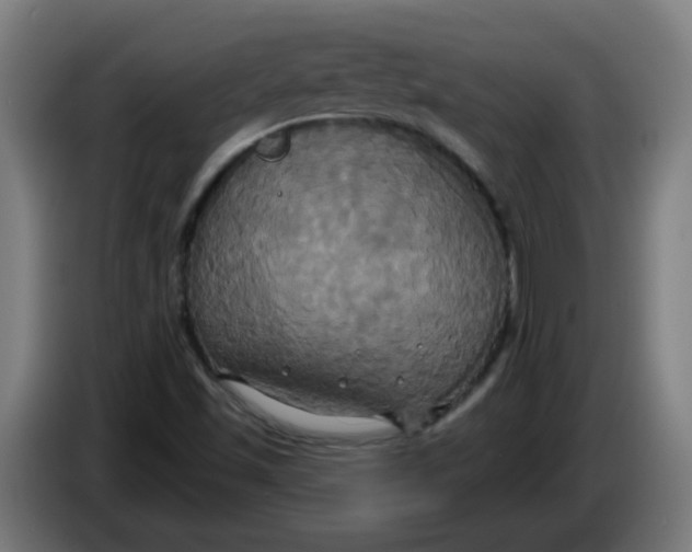 X0000086221501200704191727