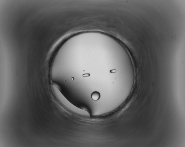 X0000086221502200704191727