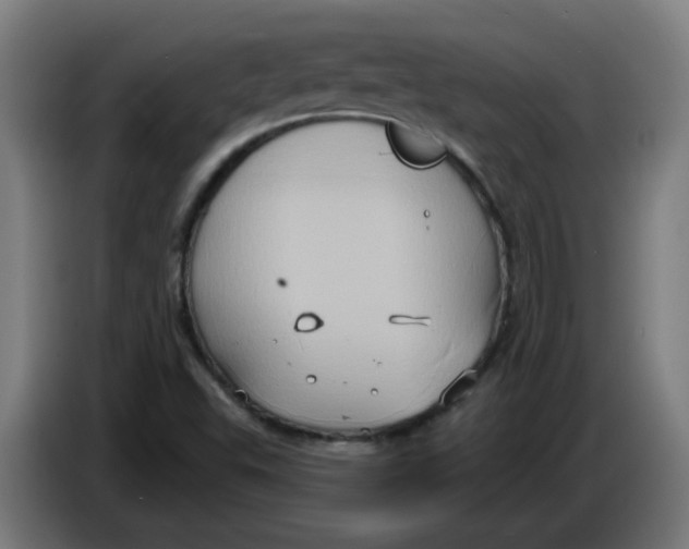 X0000086221503200704191727